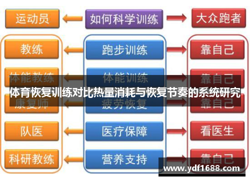 体育恢复训练对比热量消耗与恢复节奏的系统研究